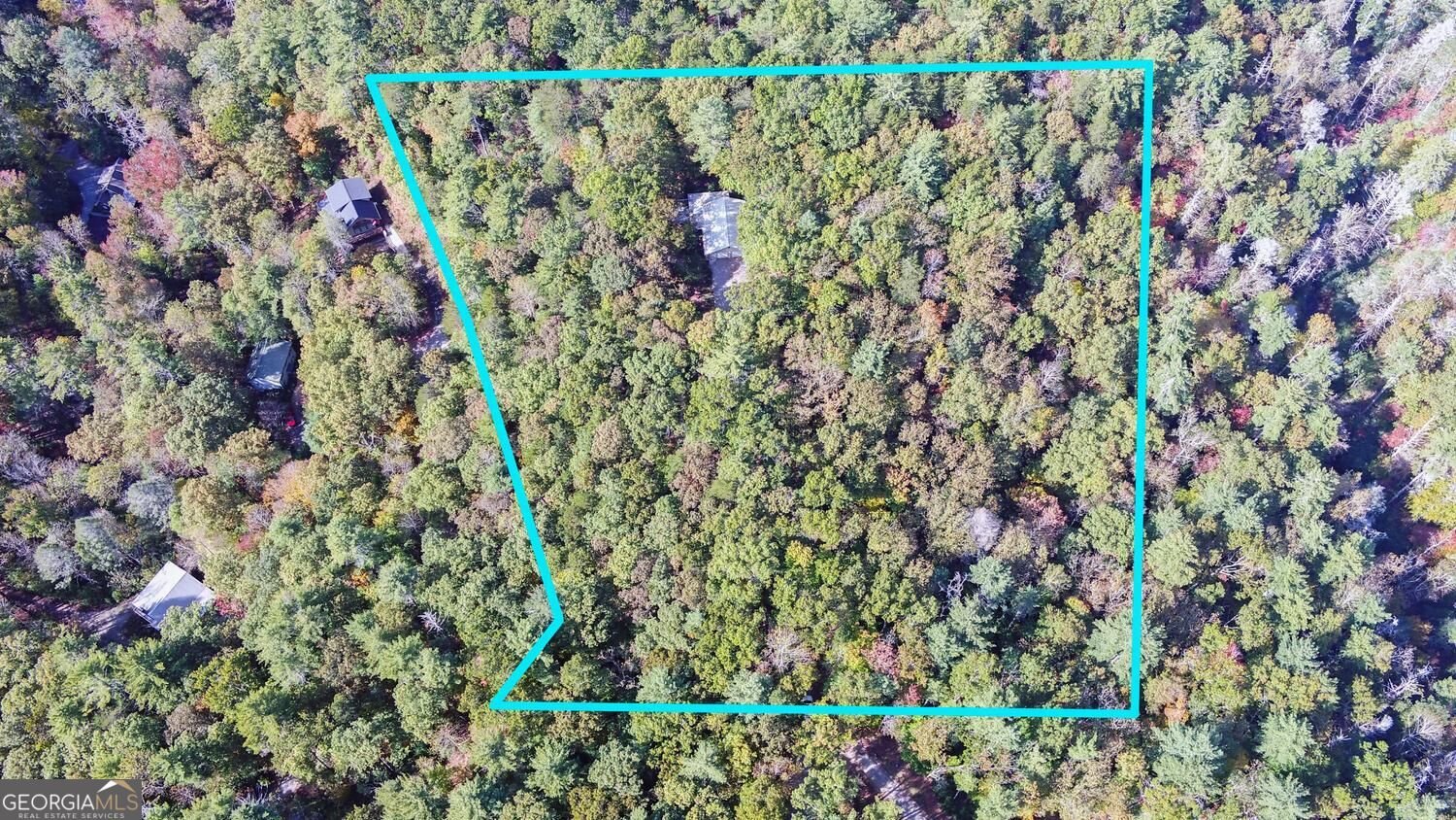 215 Avery Trail Dahlonega - Photo 40