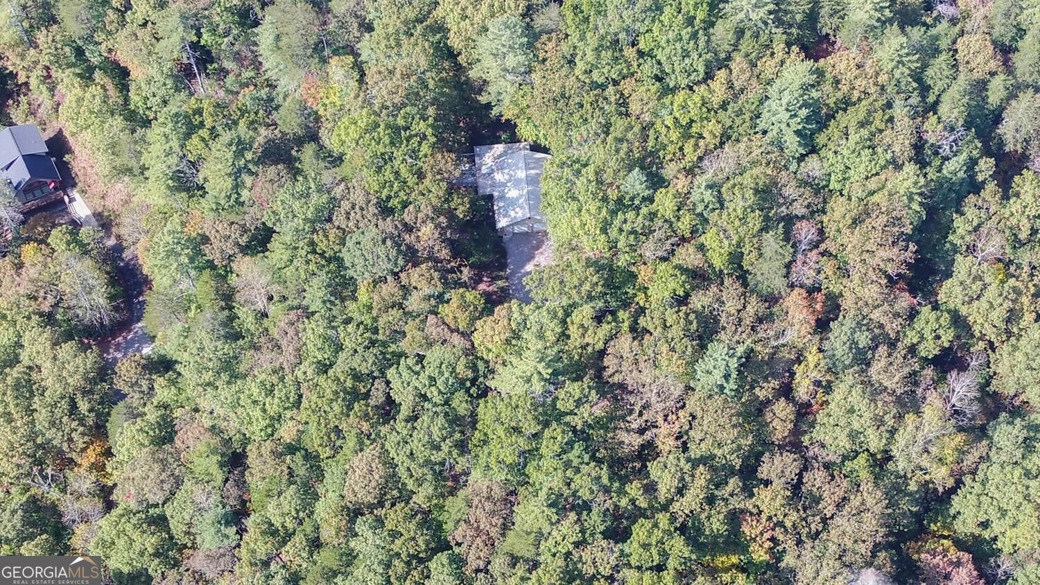 215 Avery Trail Dahlonega - Photo 42