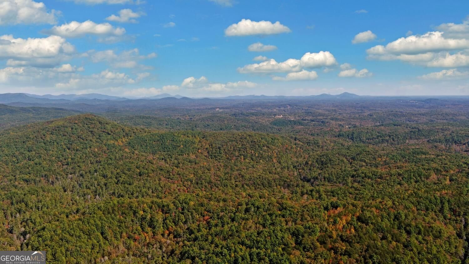 215 Avery Trail Dahlonega - Photo 44