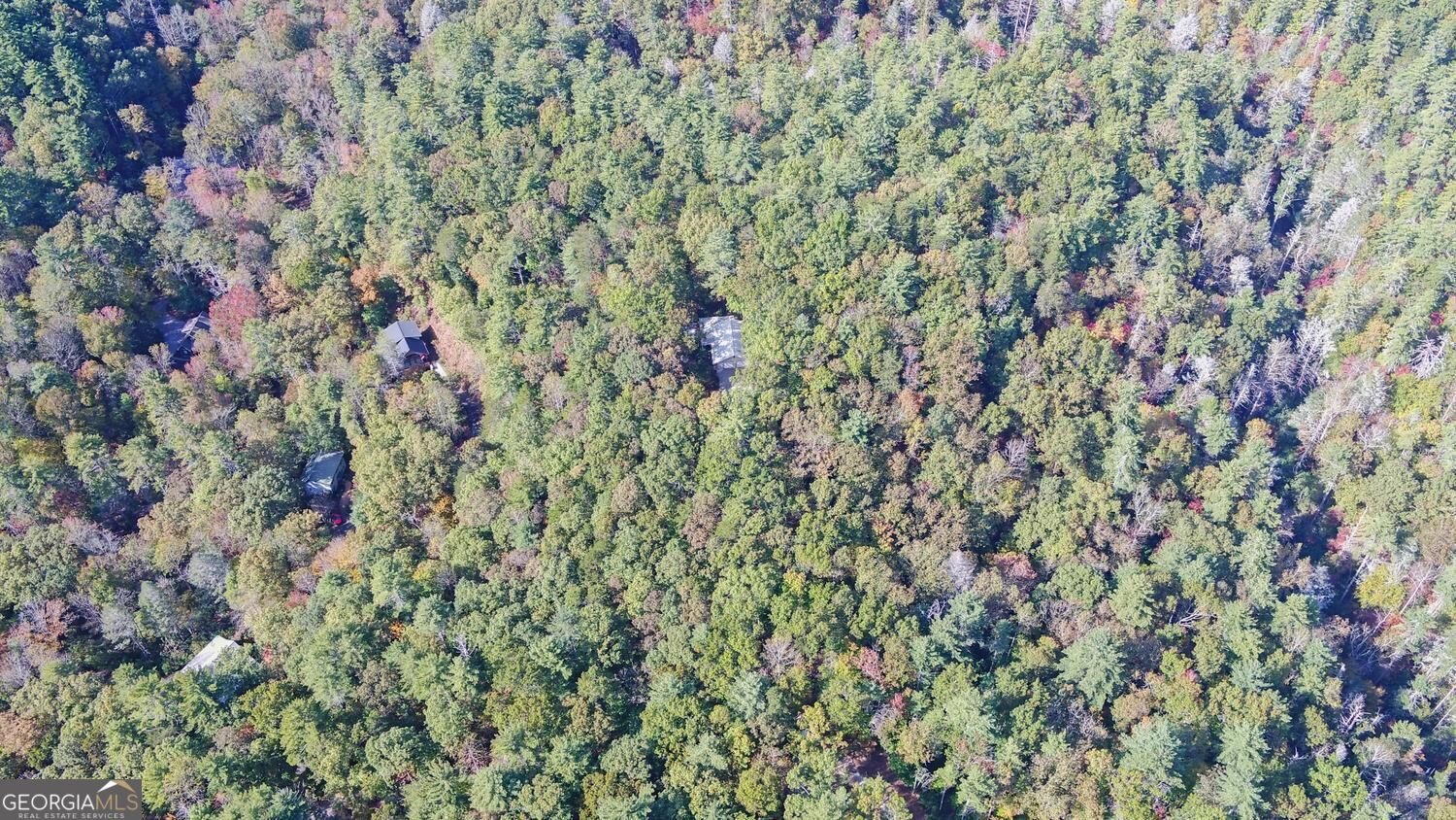 215 Avery Trail Dahlonega - Photo 46