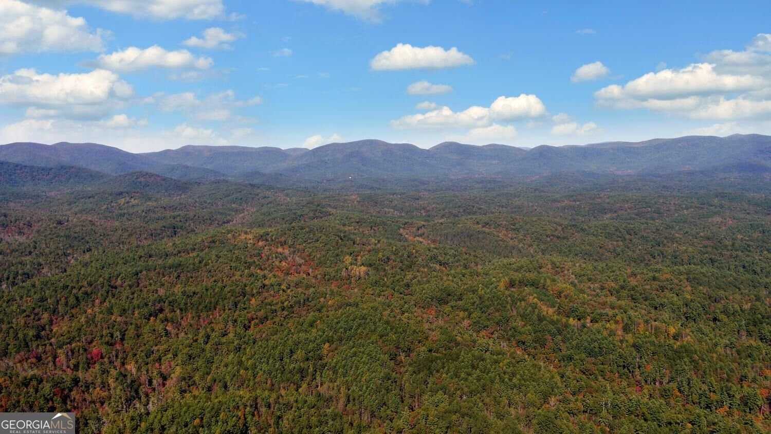 215 Avery Trail Dahlonega - Photo 47