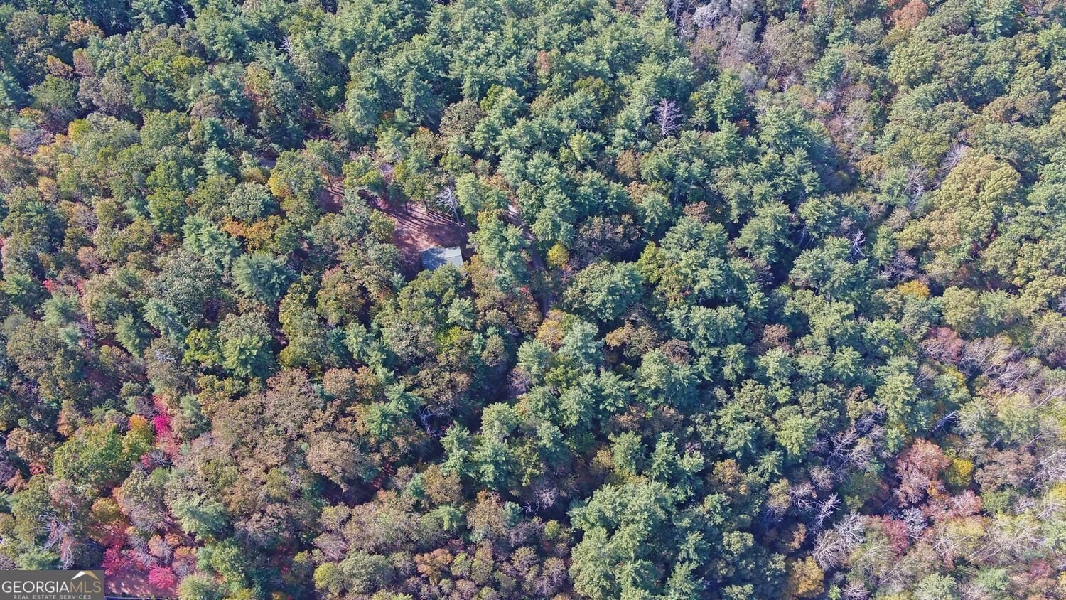 215 Avery Trail Dahlonega - Photo 48