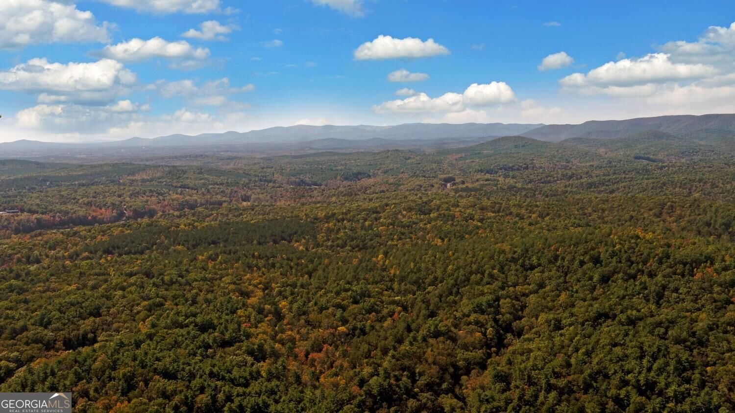 215 Avery Trail Dahlonega - Photo 50