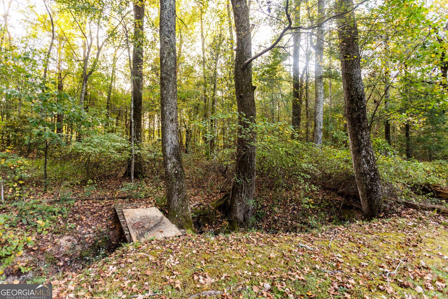 1183 Lavista Drive Monroe - Photo 29
