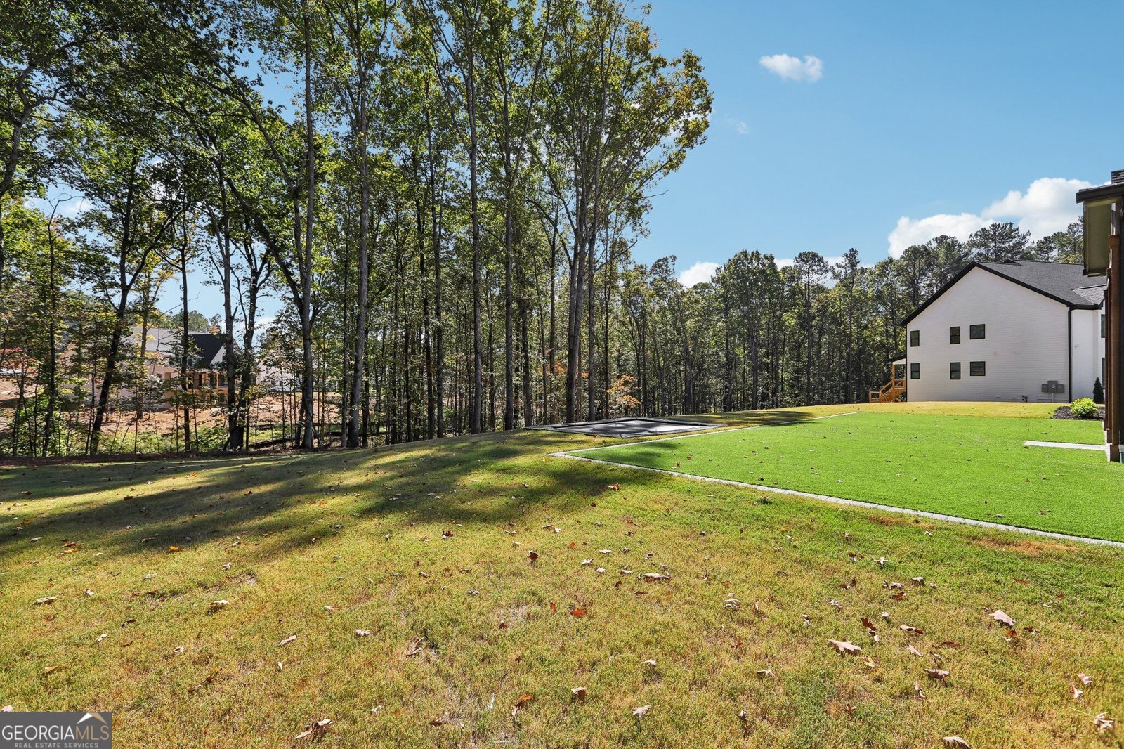 110 Ryder Circle Tyrone - Photo 61