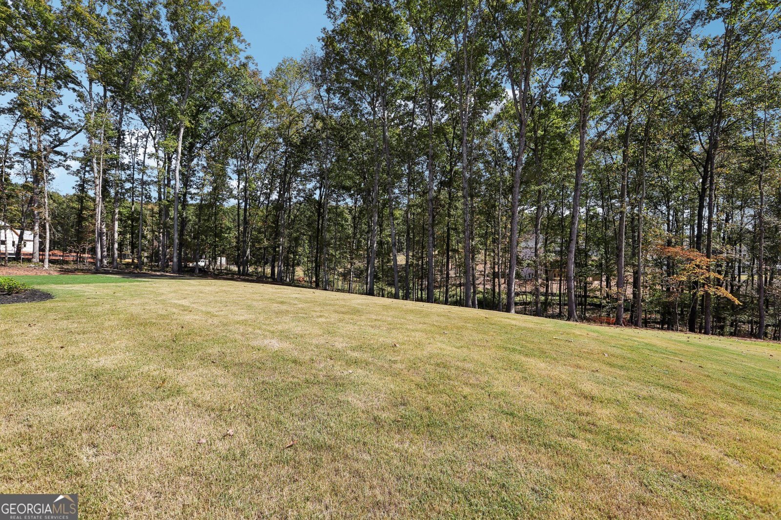 110 Ryder Circle Tyrone - Photo 65
