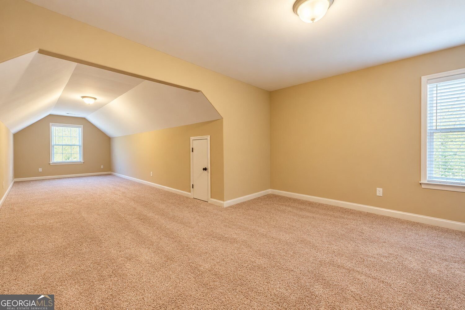 152 Coldwater Creek Drive McDonough - Photo 39