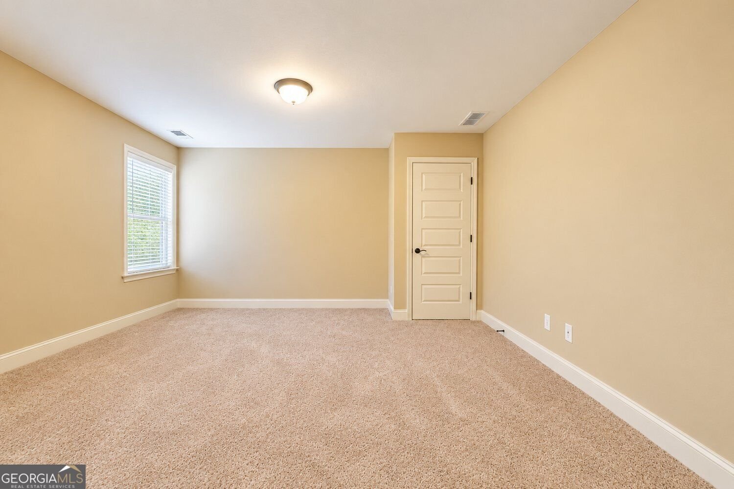 152 Coldwater Creek Drive McDonough - Photo 40