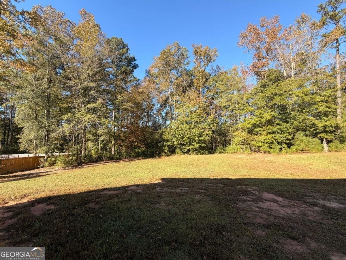 18 Brookwood Pass Douglasville - Photo 19