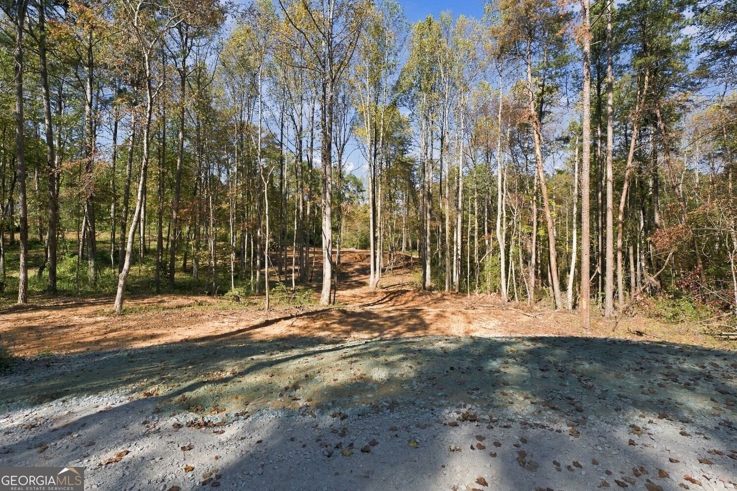 712 Hollywood Church Road Clarkesville - Photo 32