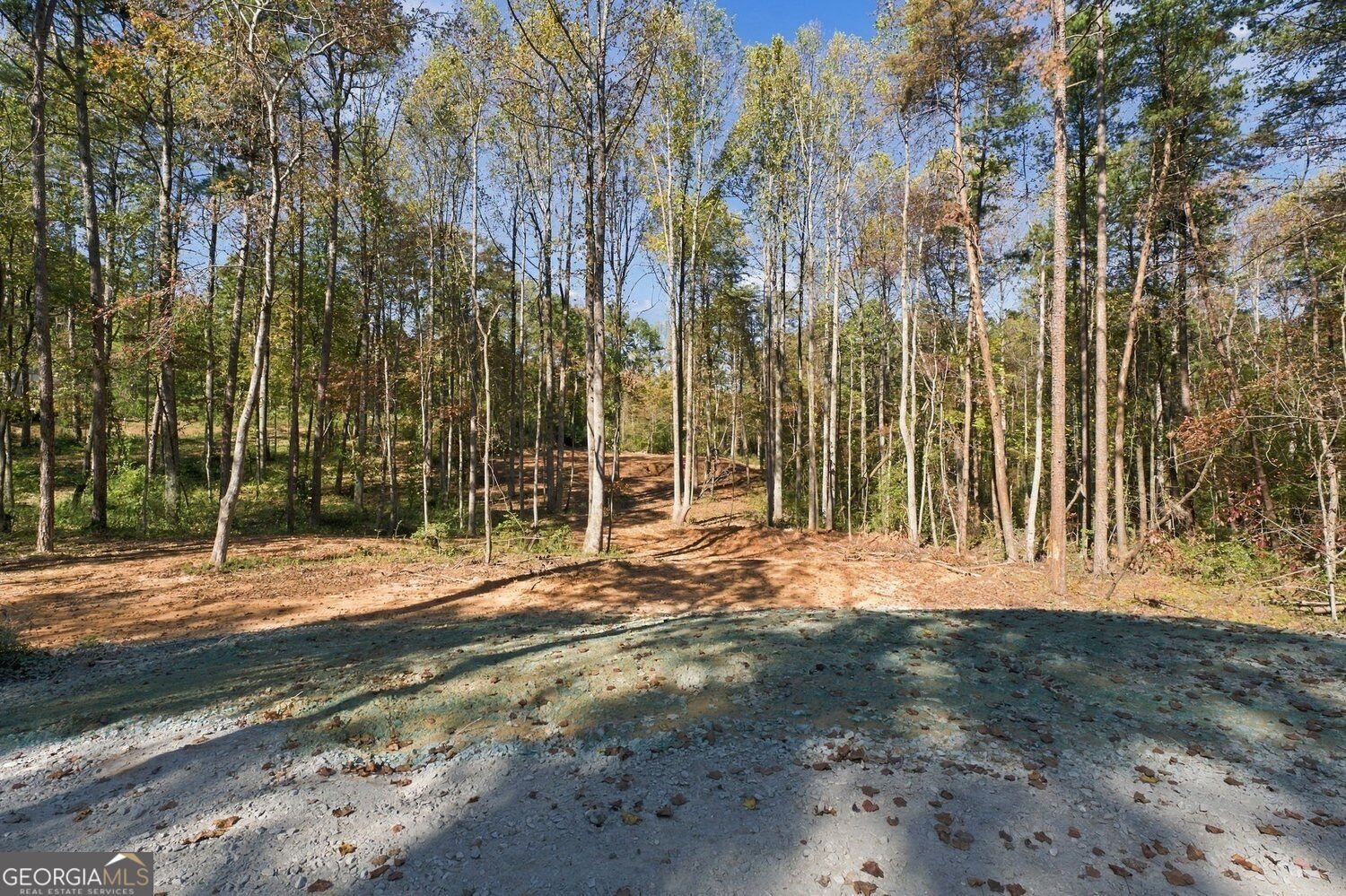 712 Hollywood Church Road Clarkesville - Photo 33