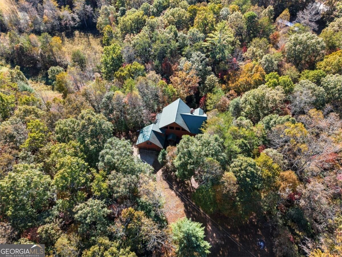 570 Duck Gap Road Blairsville - Photo 54
