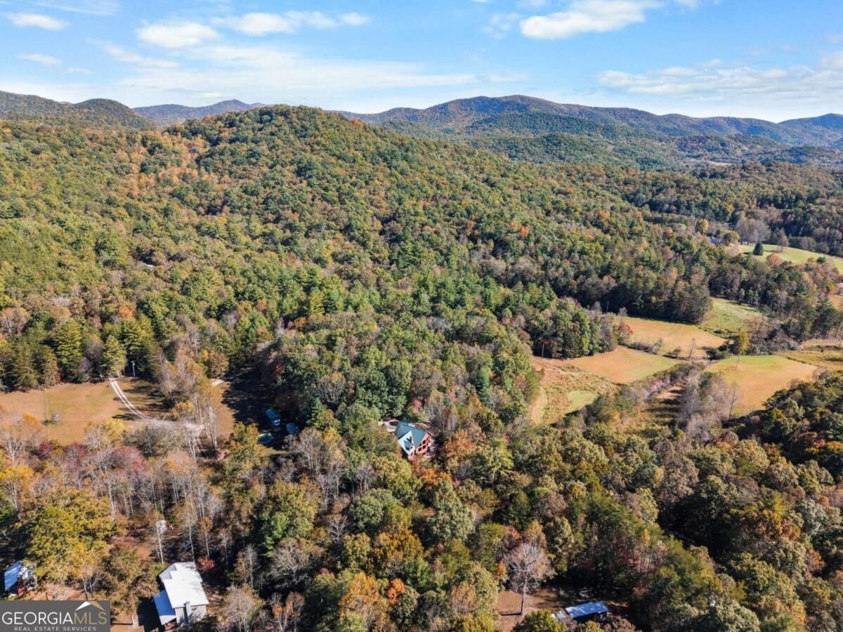 570 Duck Gap Road Blairsville - Photo 57