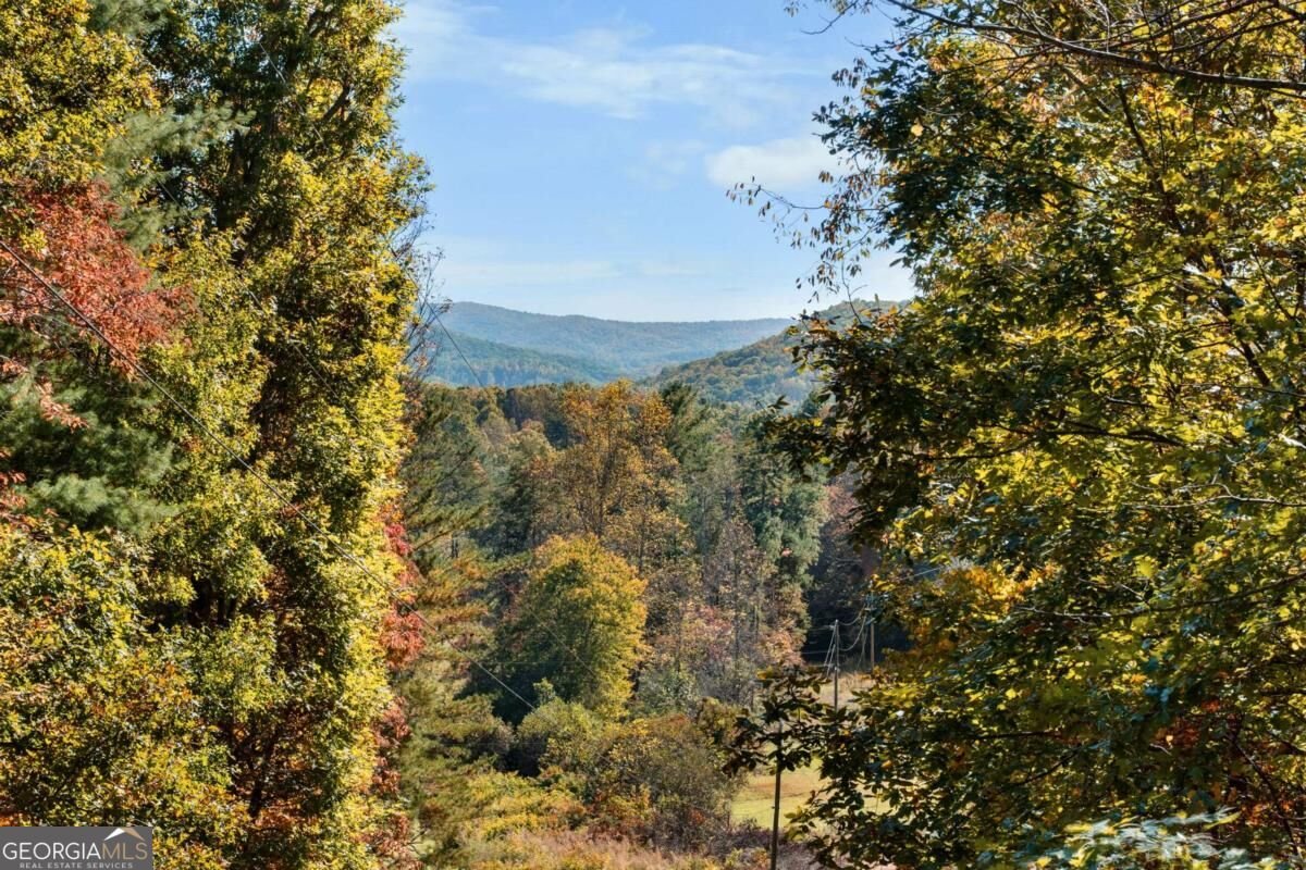 570 Duck Gap Road Blairsville - Photo 64