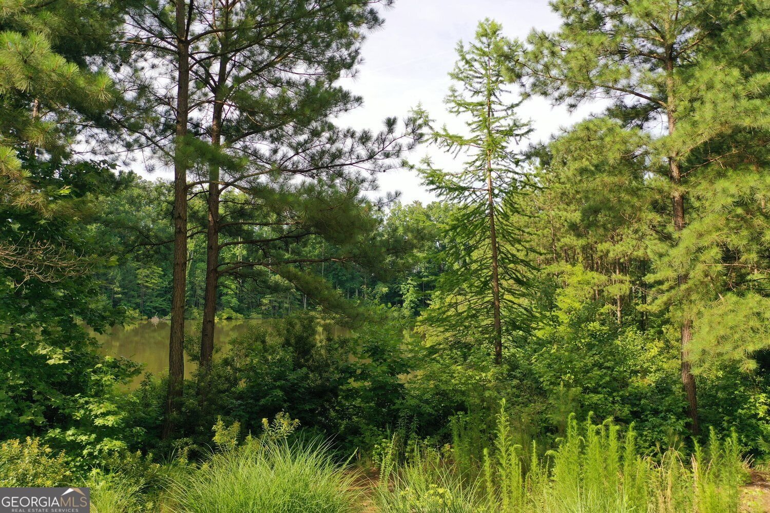 12831 Doe Drive Alpharetta - Photo 56