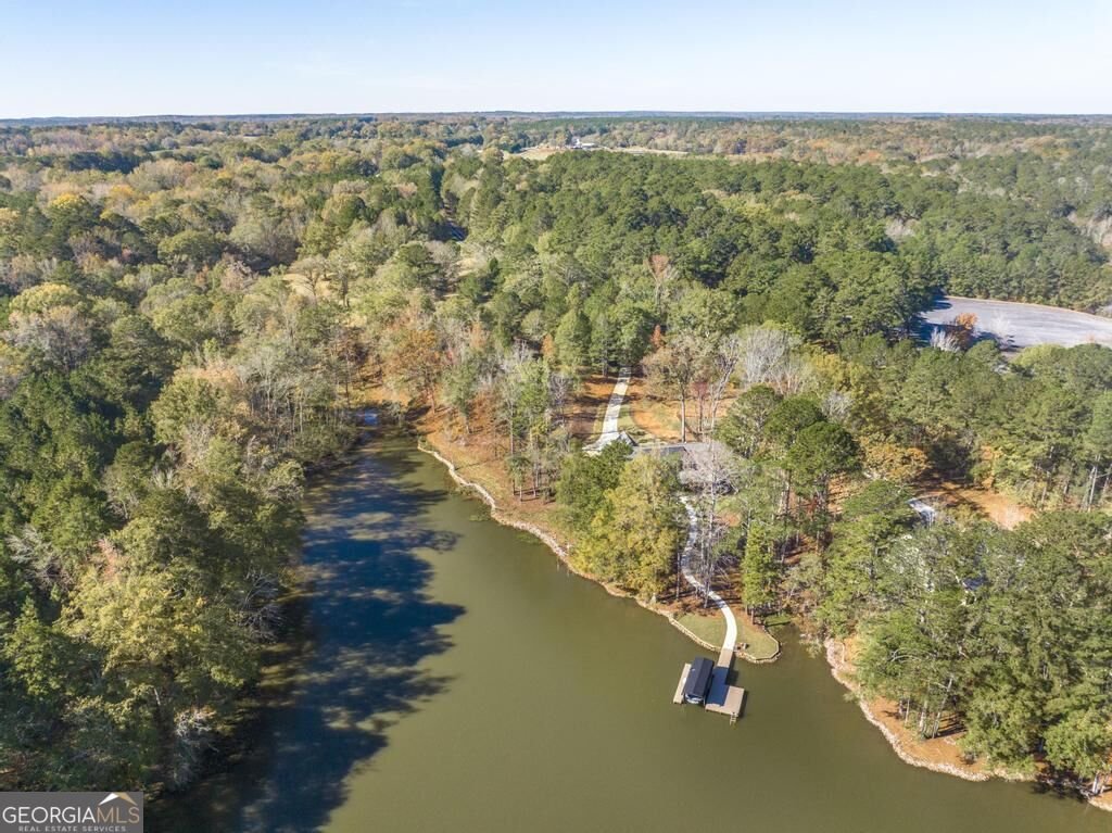 1731 Blue Springs Road Buckhead - Photo 46