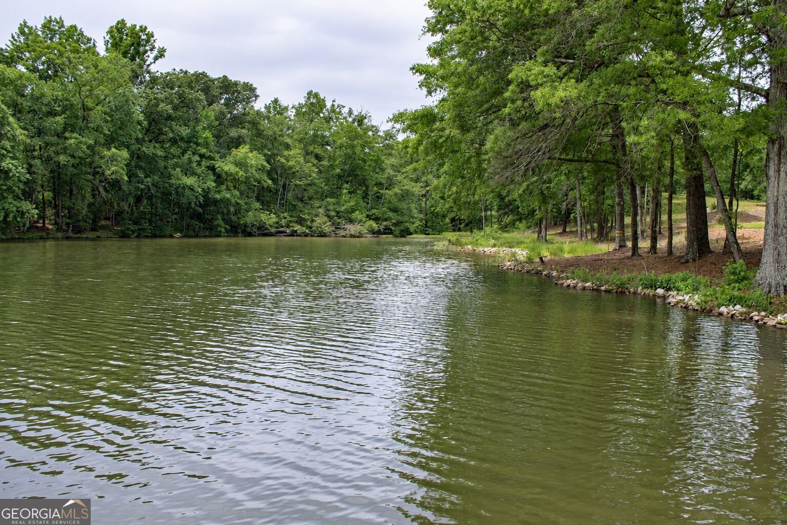 1731 Blue Springs Road Buckhead - Photo 9