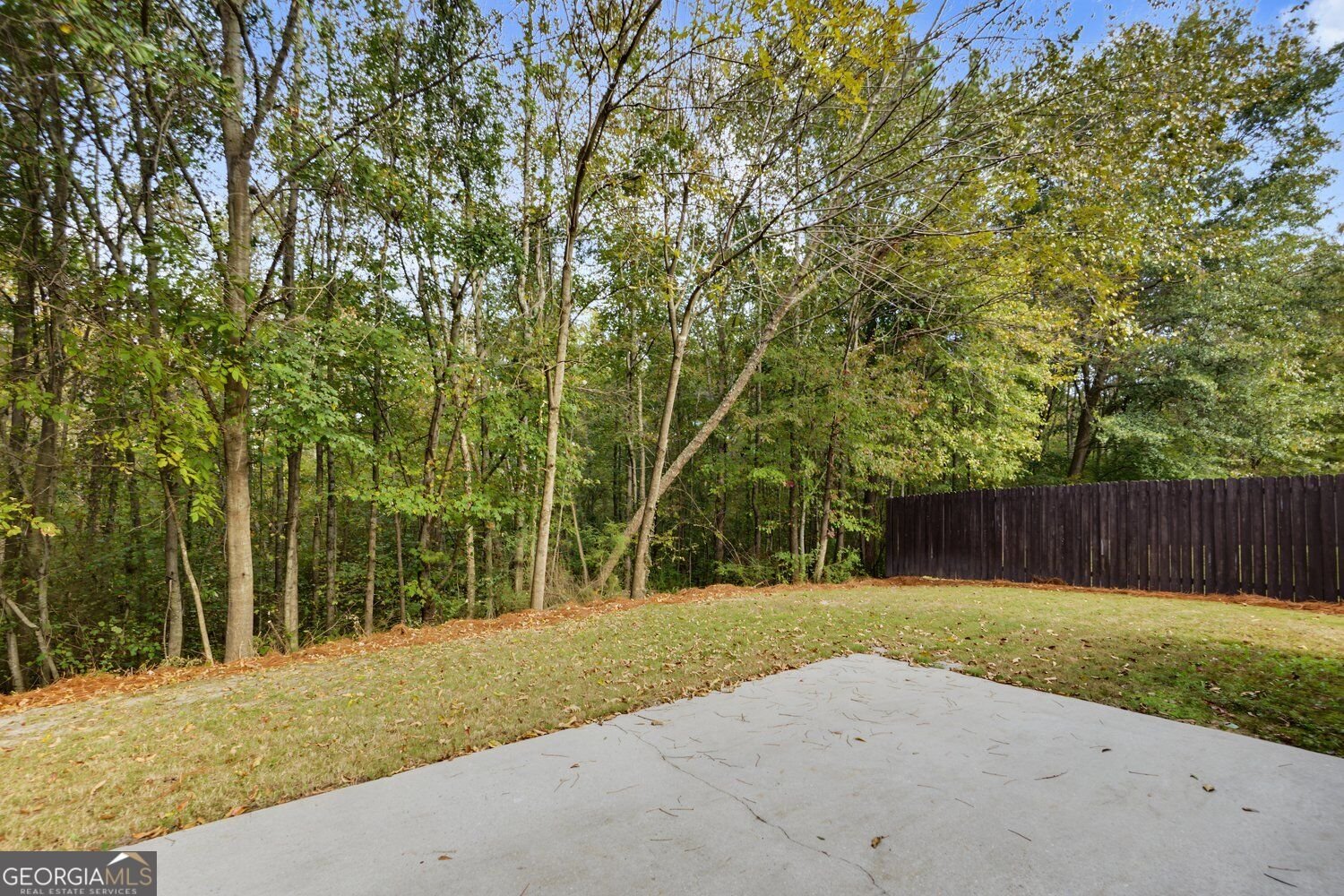 6835 White Walnut Way Braselton - Photo 28