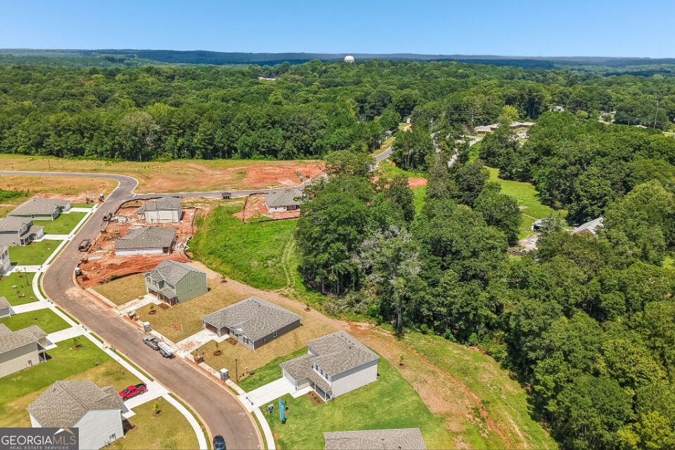 234 TJ's Trail Hogansville - Photo 18