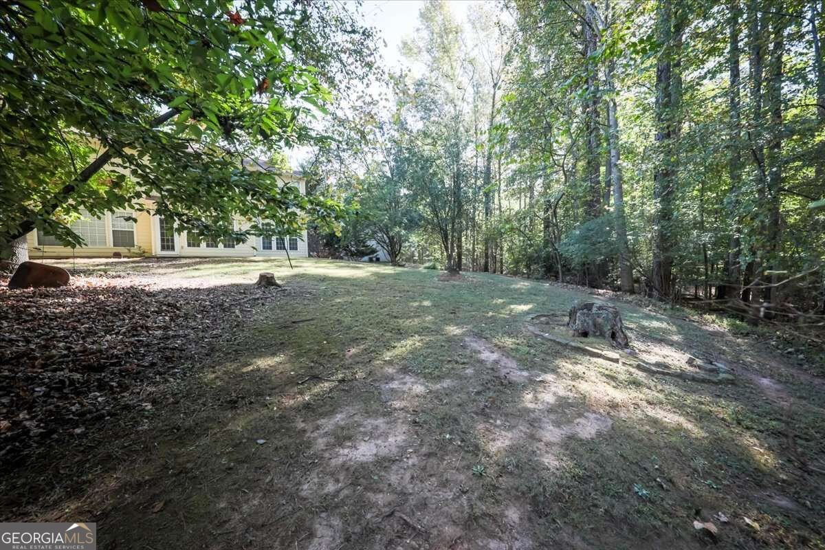 3033 Donamire Court Kennesaw - Photo 35