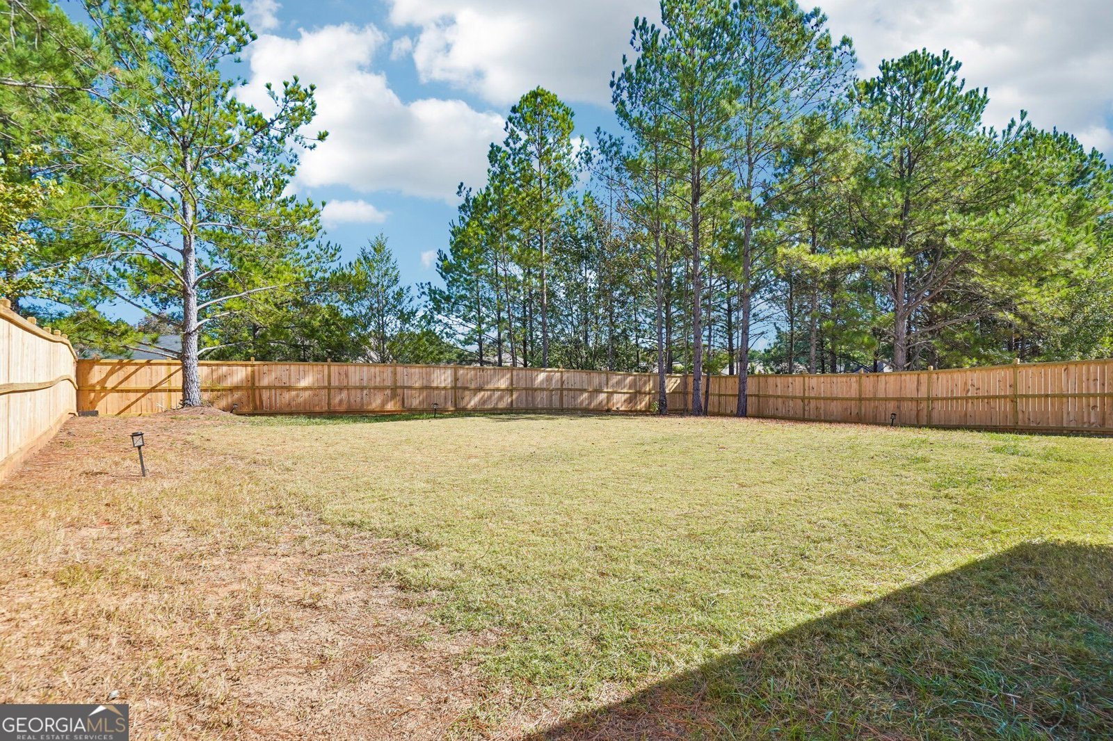 81 Kingfisher Walk Covington - Photo 26