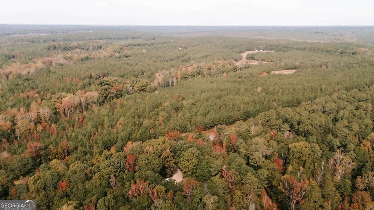1198 Elberton Road Lexington - Photo 30