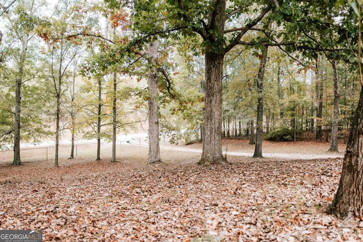 1198 Elberton Road Lexington - Photo 50