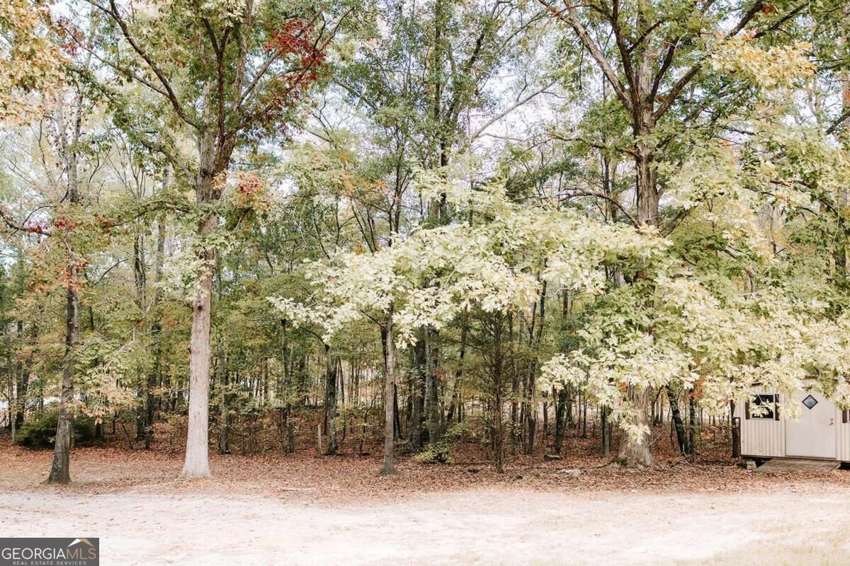 1198 Elberton Road Lexington - Photo 52