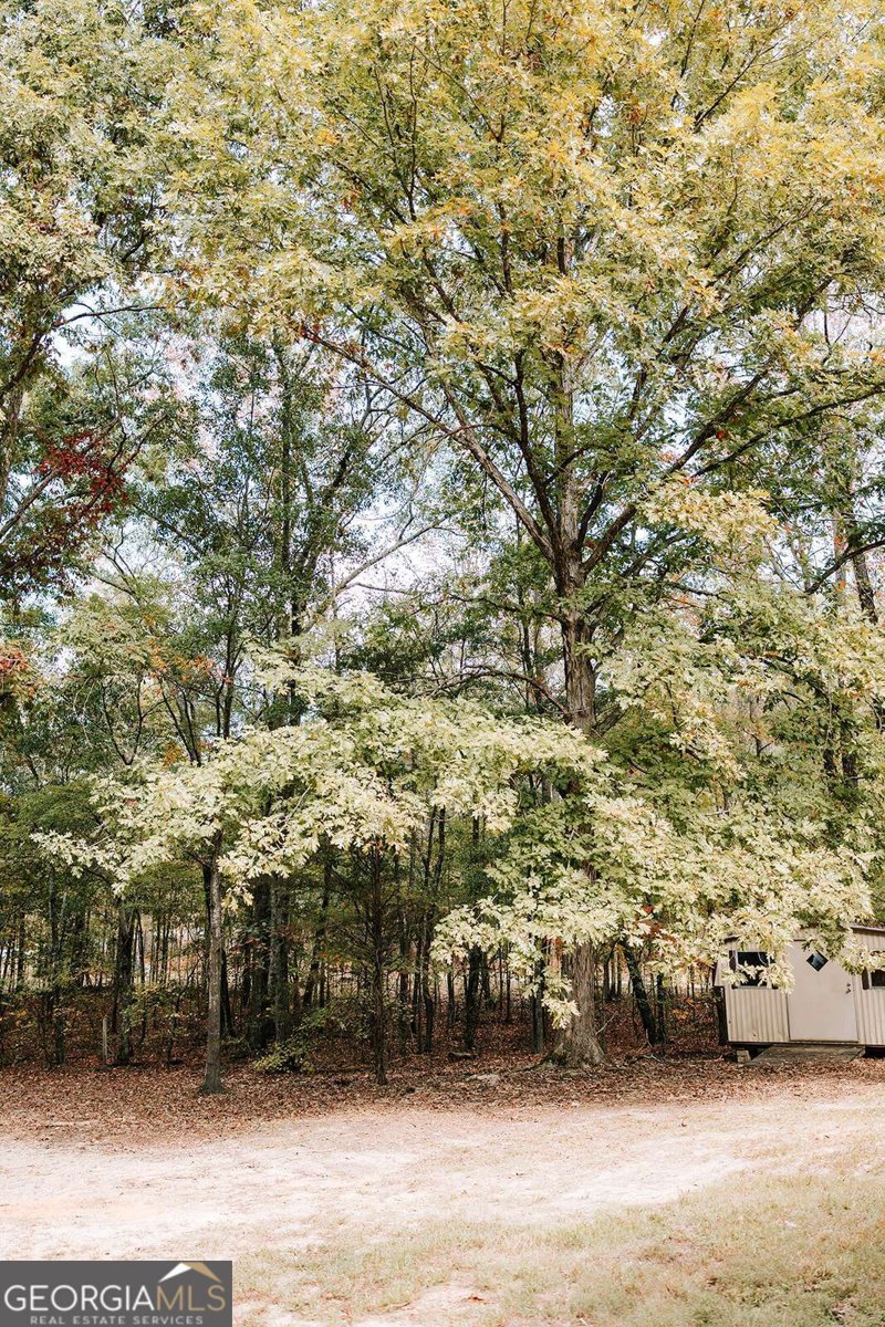 1198 Elberton Road Lexington - Photo 53