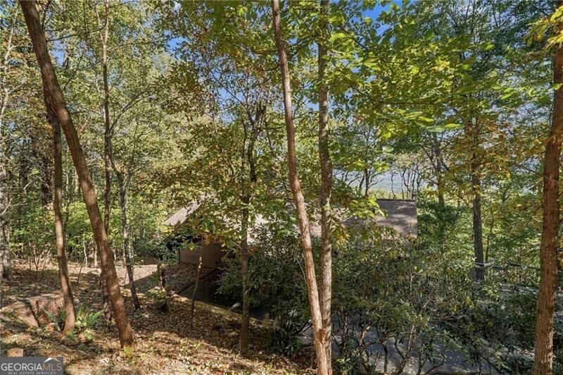 510 Sanderlin Mountain Drive Big Canoe - Photo 43