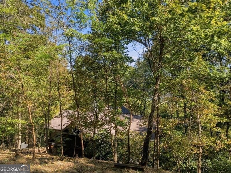 510 Sanderlin Mountain Drive Big Canoe - Photo 44