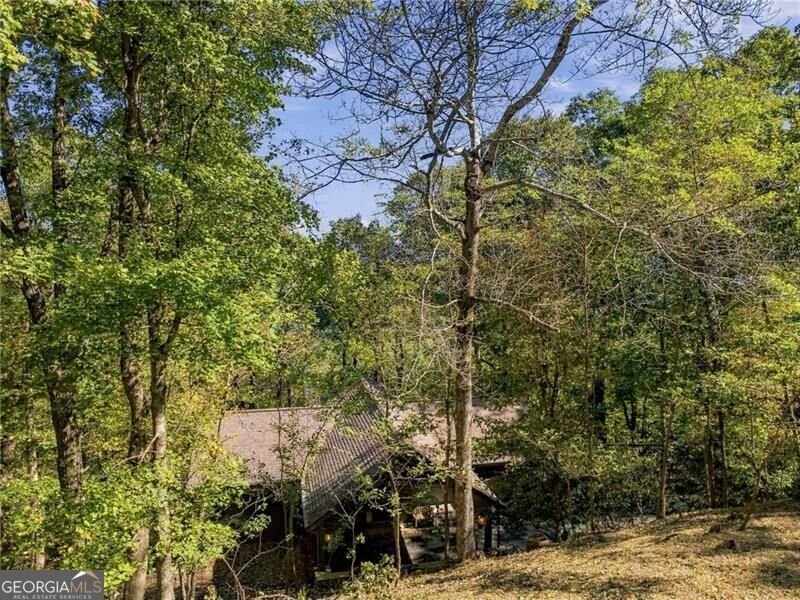 510 Sanderlin Mountain Drive Big Canoe - Photo 45
