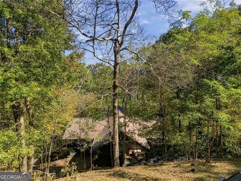 510 Sanderlin Mountain Drive Big Canoe - Photo 46