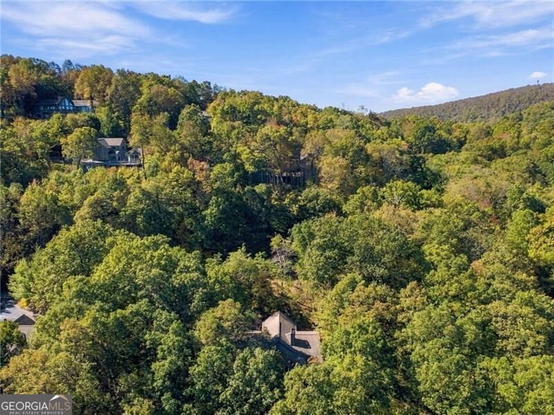 510 Sanderlin Mountain Drive Big Canoe - Photo 47