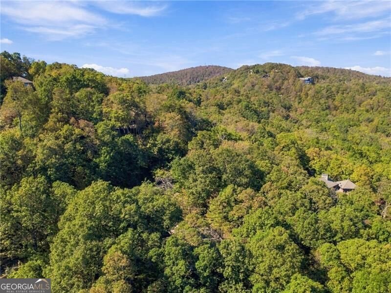 510 Sanderlin Mountain Drive Big Canoe - Photo 48
