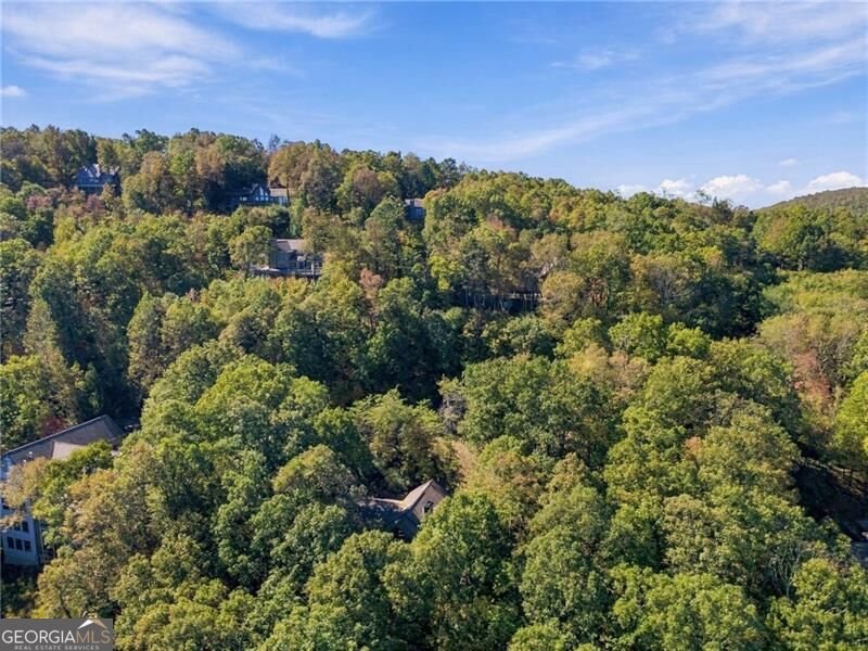 510 Sanderlin Mountain Drive Big Canoe - Photo 49