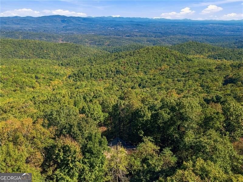 510 Sanderlin Mountain Drive Big Canoe - Photo 50