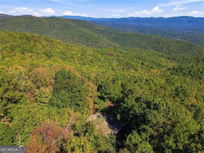 510 Sanderlin Mountain Drive Big Canoe - Photo 51