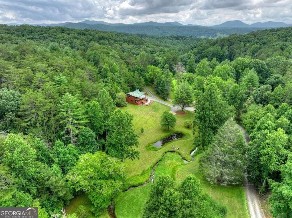 355 Happy Valley Lane Morganton - Photo 39