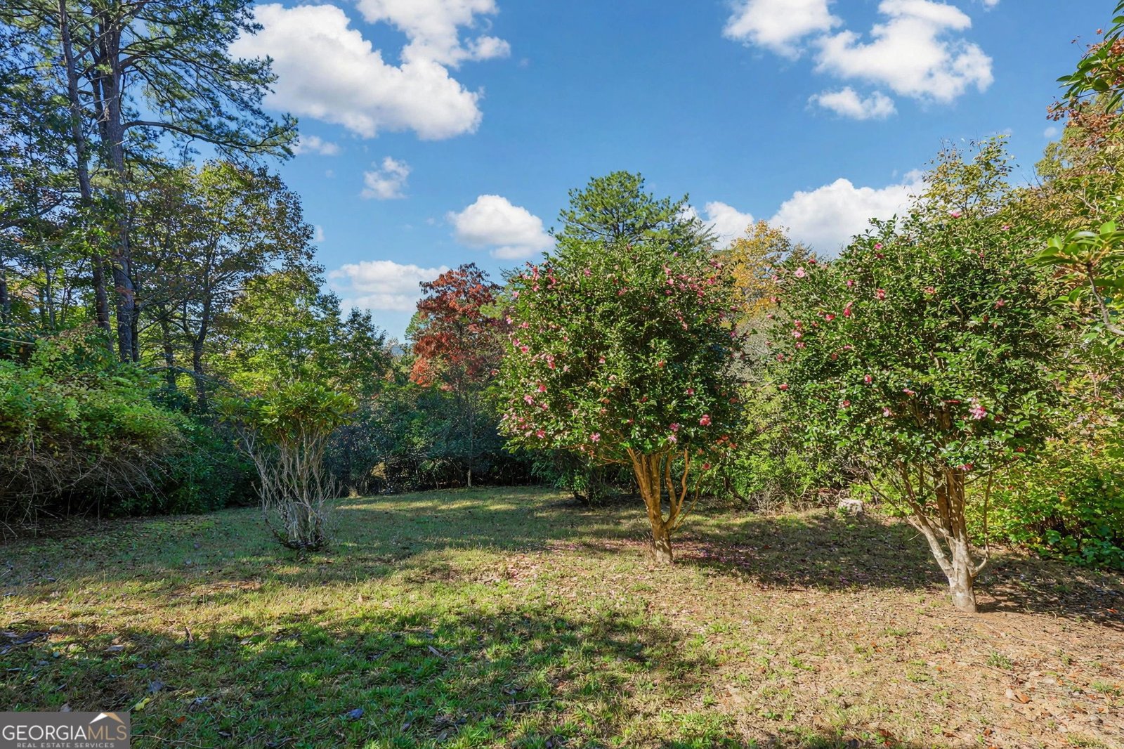 545 Pinecrest Road Sautee Nacoochee - Photo 55