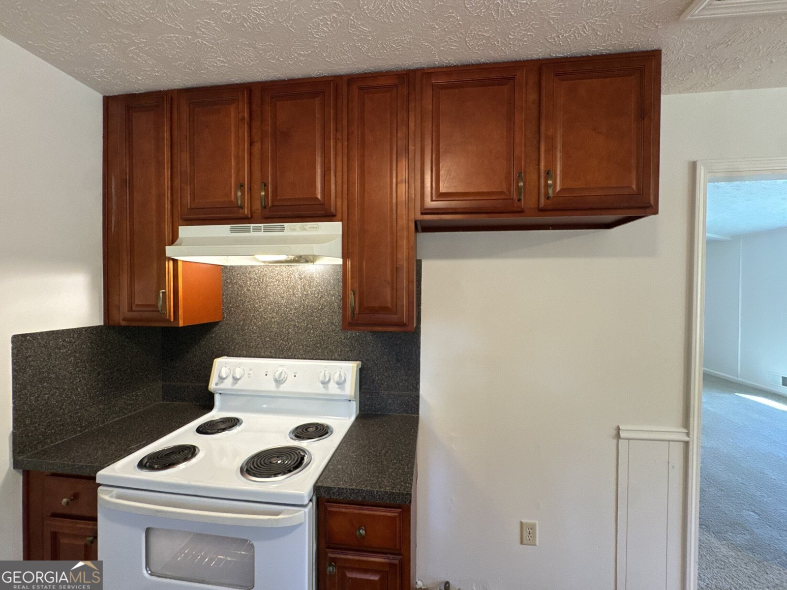 207 Mayflower Drive Woodstock - Photo 6
