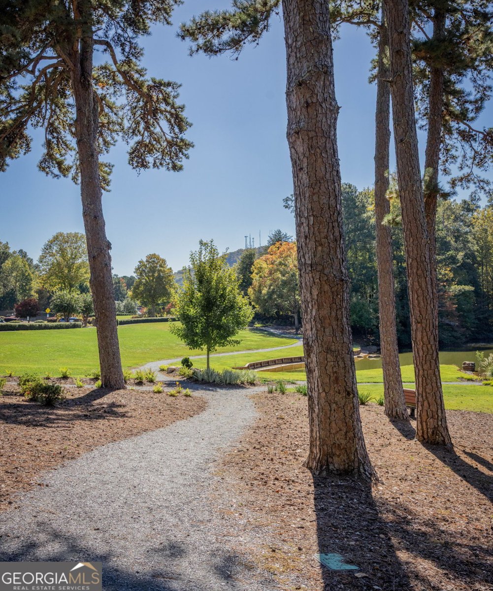 424 Highlands Loop Woodstock - Photo 45