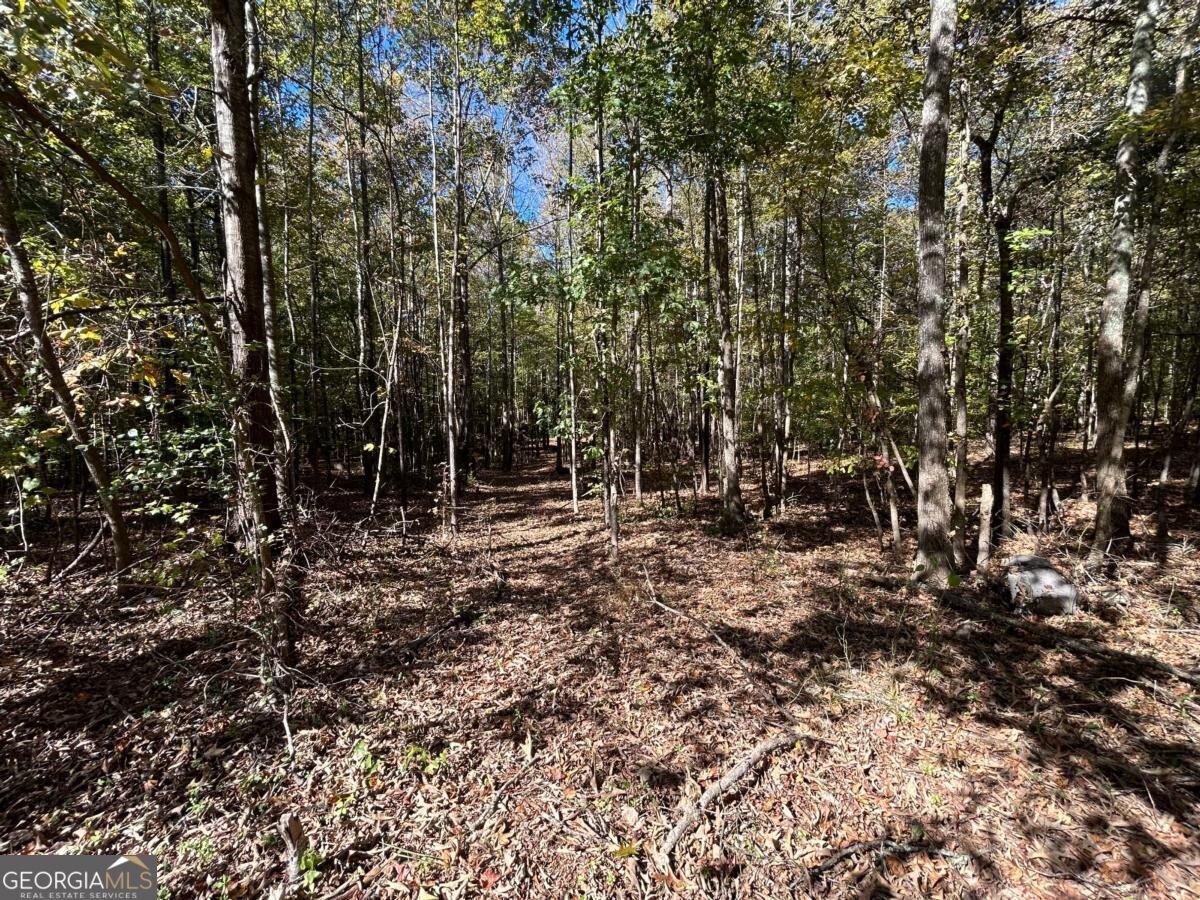 1990 Corner Road Powder Springs - Photo 15
