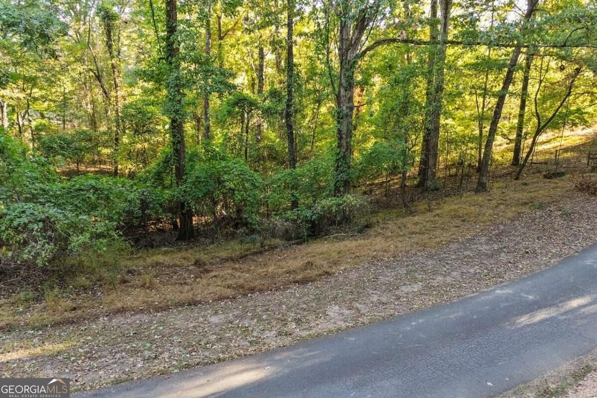 715 Old Vandiver Road Canton - Photo 45