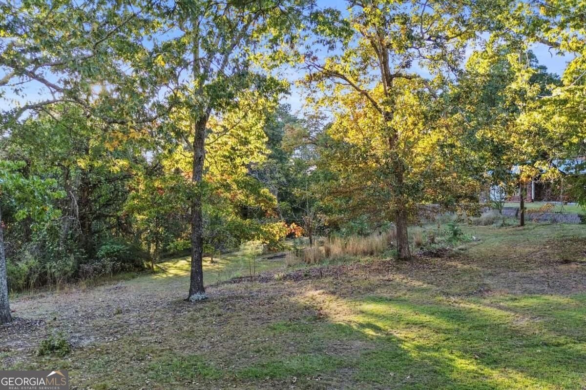 715 Old Vandiver Road Canton - Photo 52