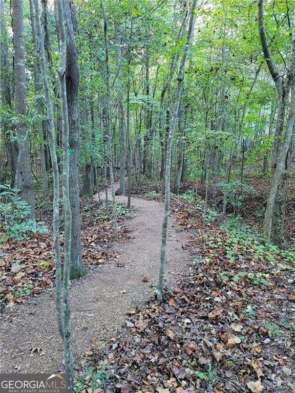 2009 Grove Field Lane Marietta - Photo 42