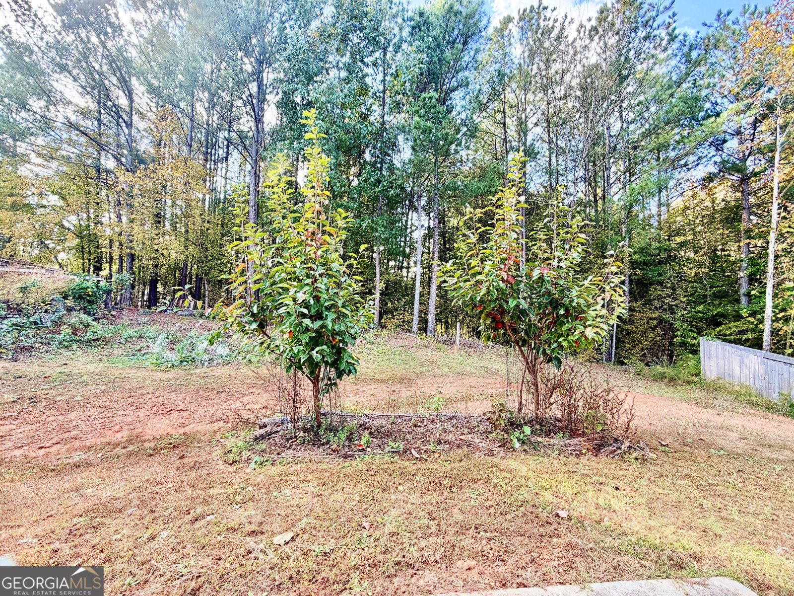412 Clematis Court Temple - Photo 58