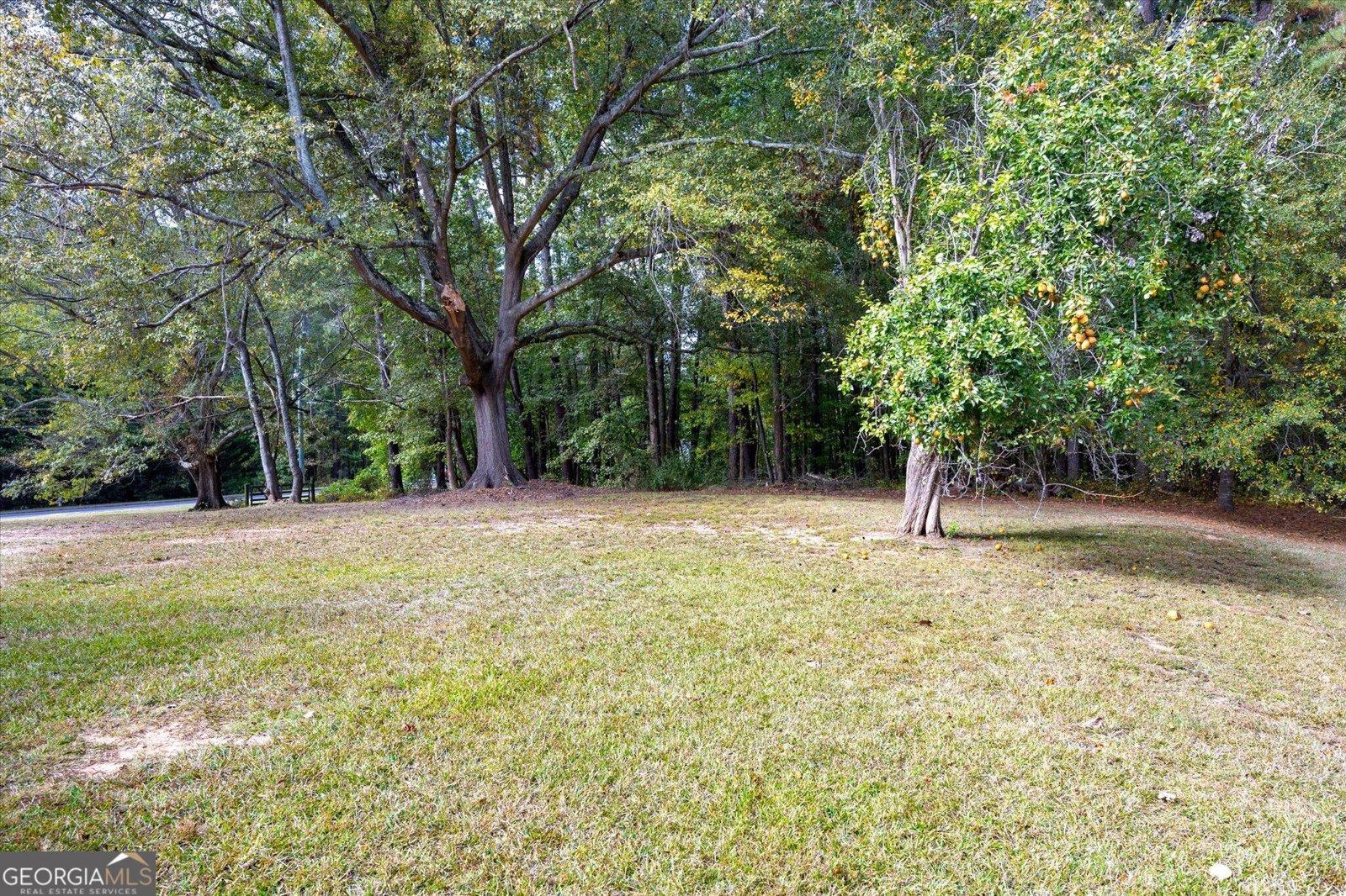1990 County Line Road Acworth - Photo 9