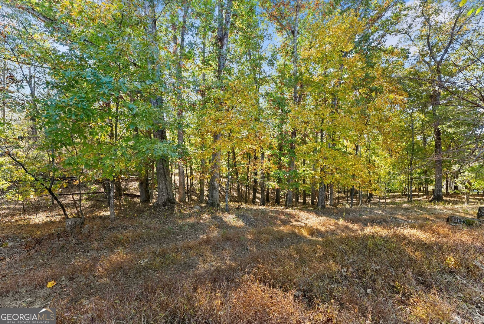 4655 Eston Smith Road Gainesville - Photo 21