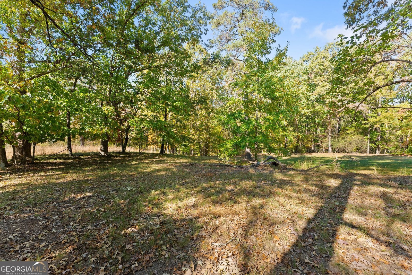 4655 Eston Smith Road Gainesville - Photo 25
